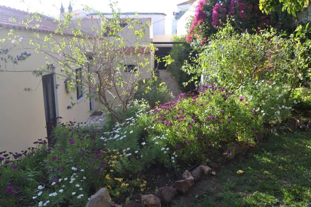 Garden In The City Silves Exteriör bild