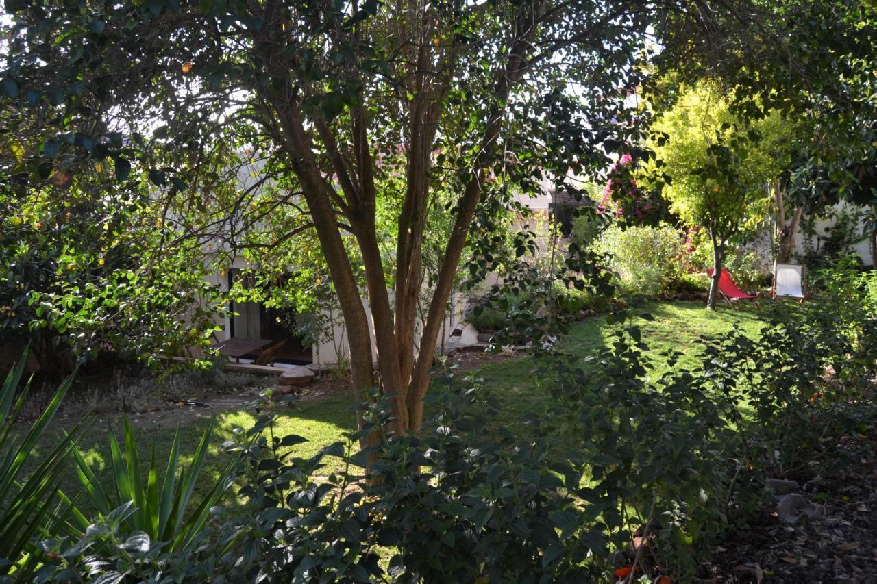 Garden In The City Silves Exteriör bild